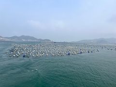 -枸杞岛