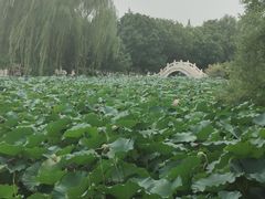 -莲池书院博物馆