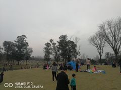 -两河城市森林公园