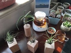 -王尔德与花