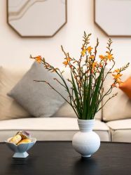 -悦尚生活空间•瑜伽普拉提•悦心芳香疗愈SPA