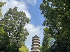 -灵谷景区