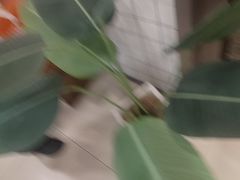 -半勺·新徽菜(银泰城店)
