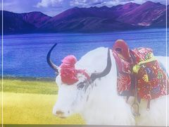 -大藏村拉面(保利首开·熙悦春天店)