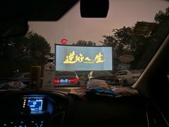 -枫花园汽车电影院(朝阳公园店)