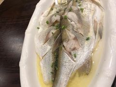 太湖白鱼-王四酒家苏帮菜馆(观前店)
