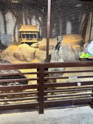 点击看大图 -酷嗒动物文化乐园(cutezoo西溪乐天城店)