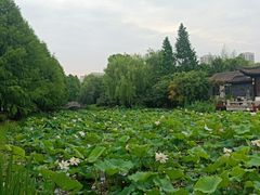 -石湖景区