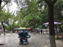 -莲湖公园