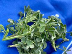 -汉长安城未央宫国家考古遗址公园