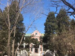 -北京动物园-畅观楼