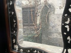 -两棵枇杷树