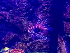-梦幻海洋王国(吾悦广场张家港店)