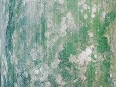 -兰拓相机租赁·二手(杭州店)