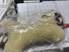 -瑞派申生动物医院·24H夜诊·国际动物医疗中心·骨外科(吴中路店)