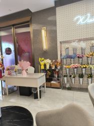 -云南吴氏嘉美医疗美容医院