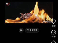 -吧嘚嘴炭烧鸽串吧(北海街店)