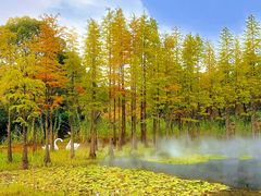 -南京银杏湖乐园