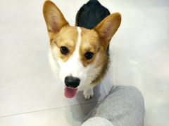-Heymao猫咖.咖啡厅(东门店)
