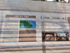 -上海青龙寺