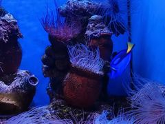 -多彩贵州城极地海洋世界