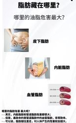 -香薇妮丝·定制减肥·身材管理