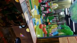 android_upload_pic-卡通尼·Safari非洲探索乐园·生日会(金桥国际商业广场店)