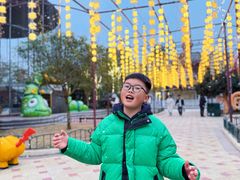 -国色天乡三期陆地乐园