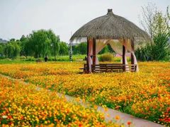 -径山花海