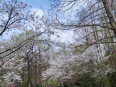 -杭州植物园