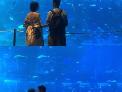 -无招牌海鲜餐厅(怡丰城店)