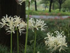 -白塘生态植物园