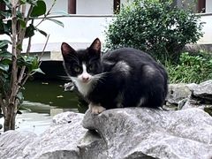-秋霞圃