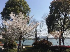 -石湖景区