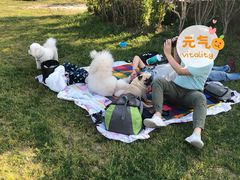 -上海海湾国家森林公园