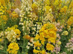 -中国天府农业博览园