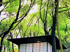 -中国茶叶博物馆(双峰馆区)
