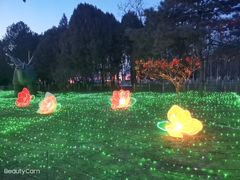 -青龙湖公园