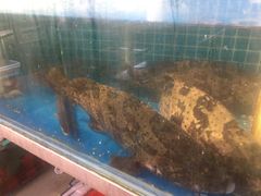 水产区-87号烧烤海鲜·大排档(金沙滩店)