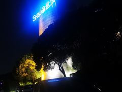 -上海佘山世茂艾美酒店