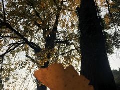 -溪口-滕头旅游景区