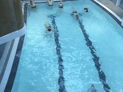 -一兆韦德健身(慧芝湖店)