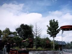 -腾冲和顺柏联酒店