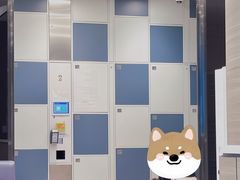 -海港城