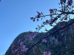 -苍山世界地质公园·石门关大峡谷