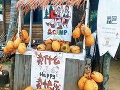 -海南分界洲岛旅游区