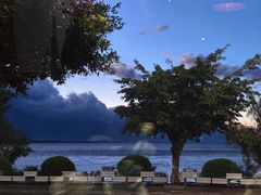-野菌皇海景野生菌火锅(滨海大道店)