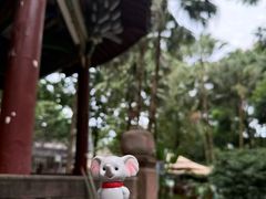 -昆山城市生态森林公园