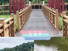 -神光山国家森林公园