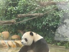 -黔灵山公园